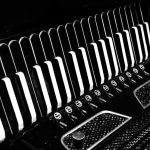 Accordion Microphone Pickup System Nalbantov AMP 7S with superior sound quality